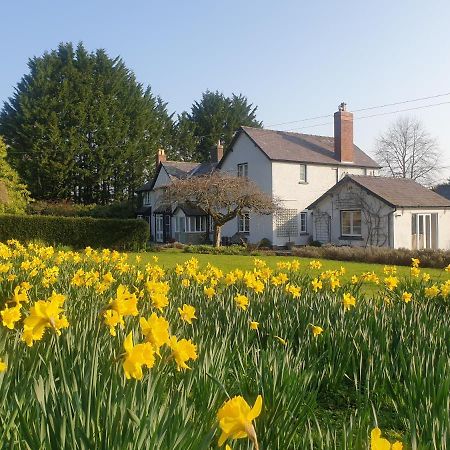 Lower House B&B Adforton Leintwardine Eksteriør billede