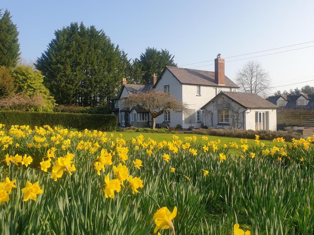 Lower House B&B Adforton Leintwardine Eksteriør billede